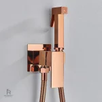 Solution hygiénique murale pour WC avec mitigeur