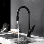 Mitigeur cuisine noir thermostatique élégant