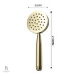Design moderne de pommeau de douche, anti-calcaire or