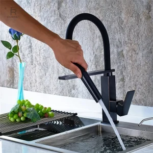 Robinet avec douchette pratique pour cuisine