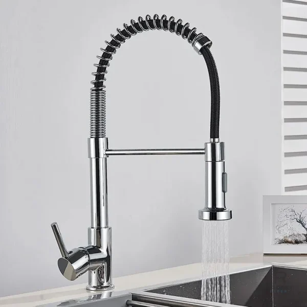 Douchette de cuisine moderne avec 2 réglages de jet