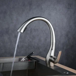 Robinet de cuisine inox avec douchette extractible
