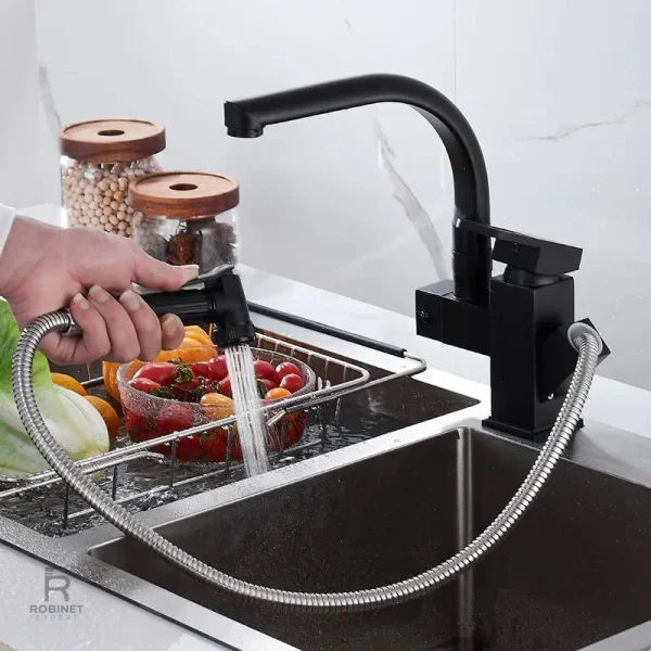 Douchette de robinet pour un accès flexible