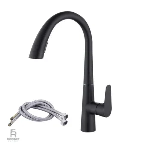 Robinet moderne pour évier de cuisine