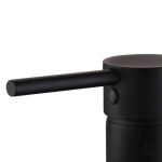 Mitigeur noir pour un style moderne de salle de bain