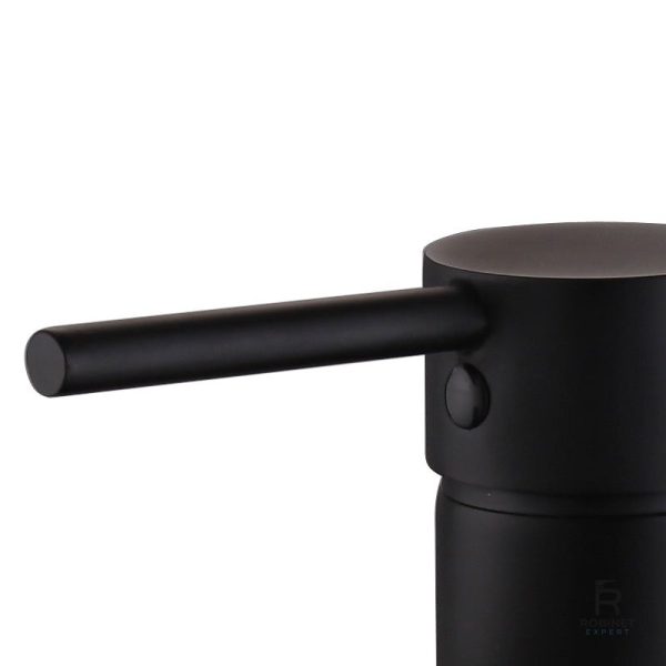 Mitigeur noir pour un style moderne de salle de bain